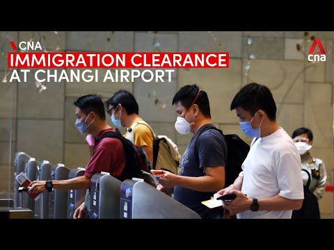 What you can expect at Changi Airport immigration as Singapore reopens its borders