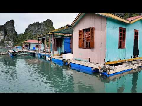 Ha Long Bay Floating Village With Indochina Junk Cruises