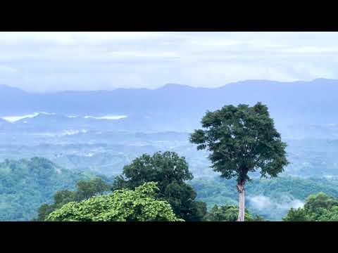 The Sound Of  Sajek Valley | A Peaceful Relaxing Video With Natural Sound | Beautiful Bangladesh