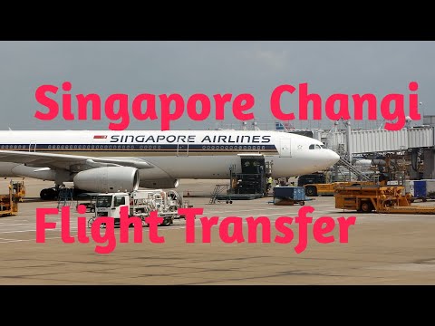 Singapore Changi Flight Transfer Procedure