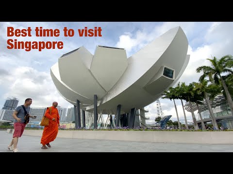 Best time to visit Singapore (sketch vlog)