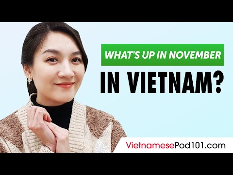 What's happening in November in Vietnam? (Travel Tips and more)