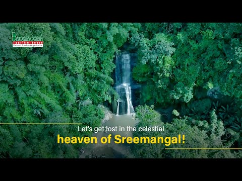 Discovering Sreemangal: Exploring the Hidden Beauty of Sylhet's Tea Capital