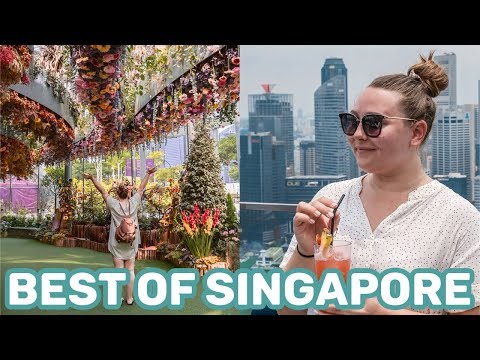 2 Days in Singapore | Travel Guide